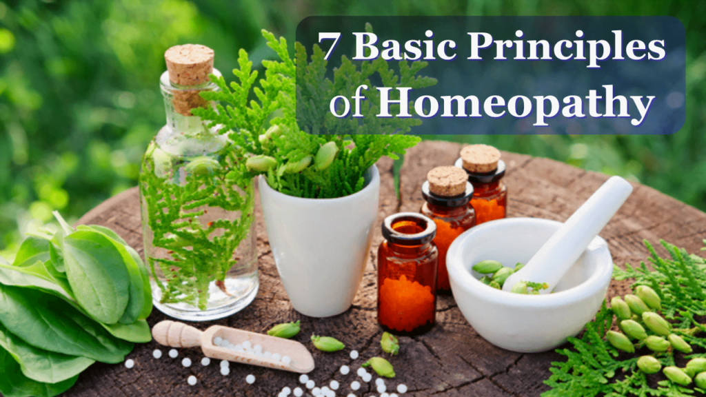 What is Homeopathy Medicine What is Homeopathy Medicine | 7 Basic Principles of homeopathy