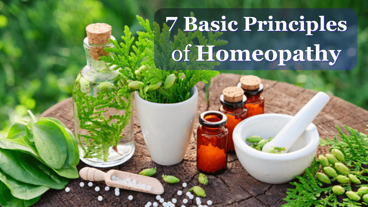 What is Homeopathy Medicine, 7 Basic Principles of homeopathy