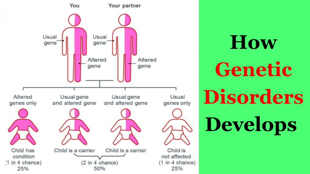 How genetic disorders develops diagramatic representation How genetic disorders develops diagramatic representation