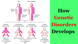 how genetic disorders develop by male and female