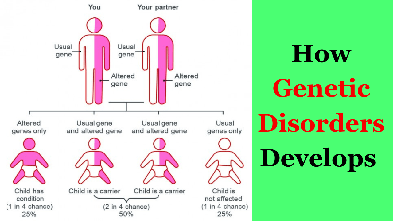 how genetic disorders develop by male and female