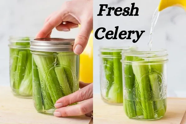 how to store Celery fresh how to store Celery fresh