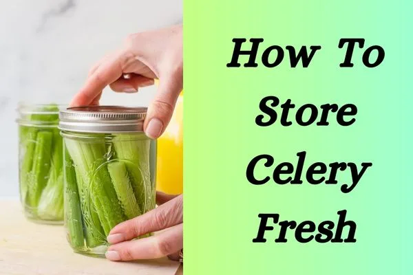 37 Best Uses of Celery to improve Health Easily how to store Celery fresh